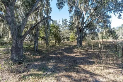 PLANT CITY FL Property