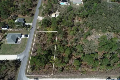 WEEKI WACHEE FL Property