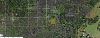 ST CLOUD FL Property