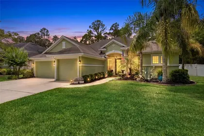 ST JOHNS FL Home