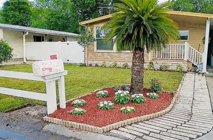TAMPA FL Home