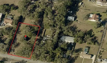BRANDON FL Property