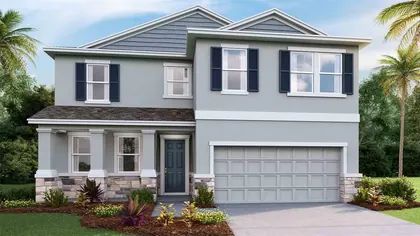 LAND O LAKES FL Home