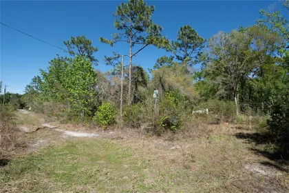 NEW PORT RICHEY FL Property
