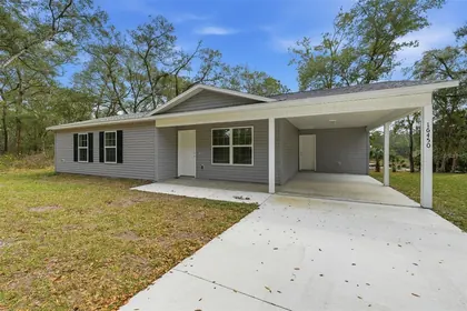 OCKLAWAHA FL Home