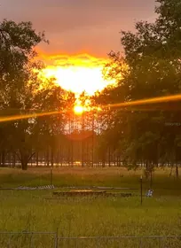 DADE CITY FL Property