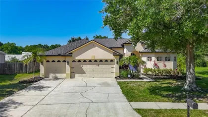 LUTZ FL Home