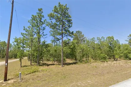DUNNELLON FL Property