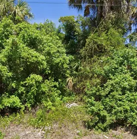 NORTH PORT FL Property