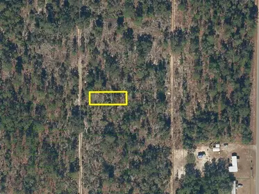 INTERLACHEN FL Property