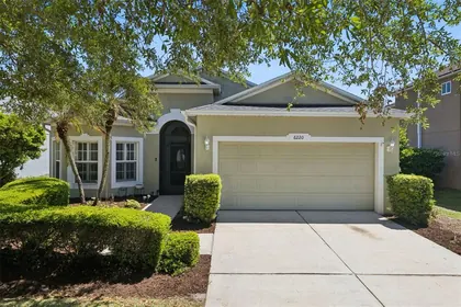 MOUNT DORA FL Home