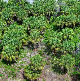 PALM BAY FL Property