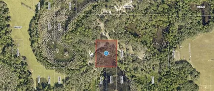 CLERMONT FL Property