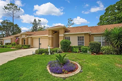 NEW PORT RICHEY FL Home
