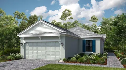 WESLEY CHAPEL FL Home