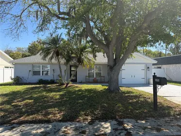 HOLIDAY FL Home