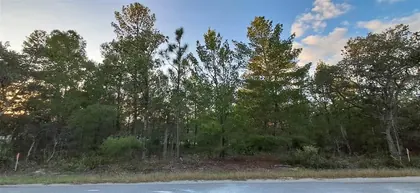 OCKLAWAHA FL Property