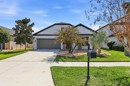 LAND O LAKES FL Home