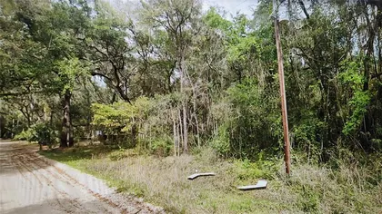 INTERLACHEN FL Property