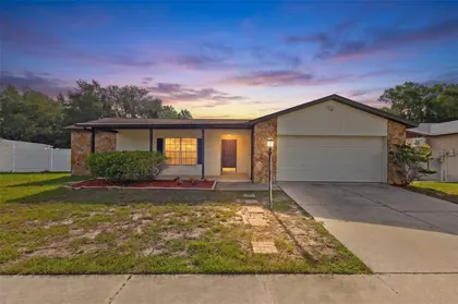 BRANDON FL Home