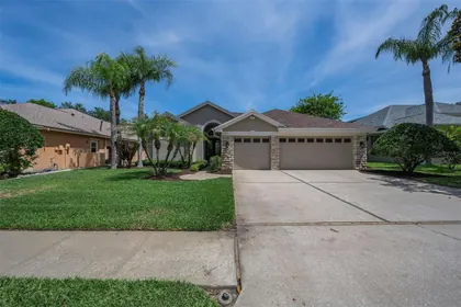 TARPON SPRINGS FL Home