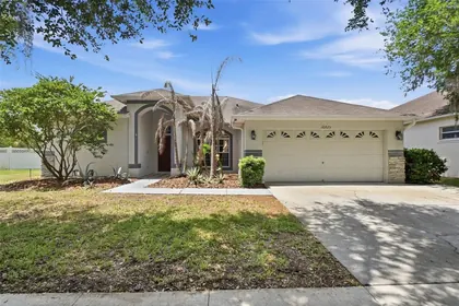LITHIA FL Home