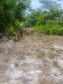 MOUNT DORA FL Property