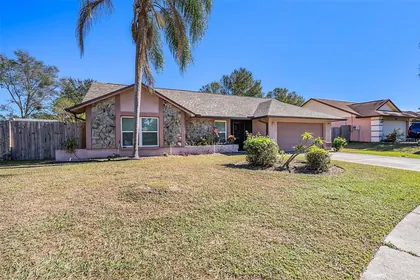 BRANDON FL Home