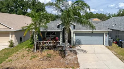 RIVERVIEW FL Home