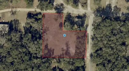 LEESBURG FL Property