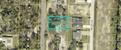 CAPE CORAL FL Property