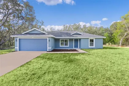 OCKLAWAHA FL Home