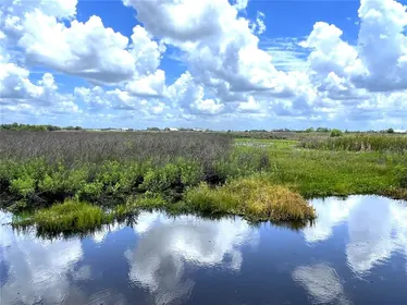 MYAKKA CITY FL Property