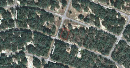 OCKLAWAHA FL Property
