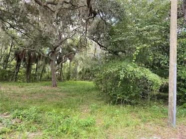 LAKE PANASOFFKEE FL Property