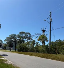 TARPON SPRINGS FL Property
