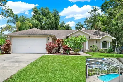 LAND O LAKES FL Home