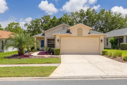 SPRING HILL FL Home