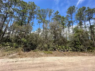 INTERLACHEN FL Property