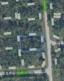 SEBRING FL Property