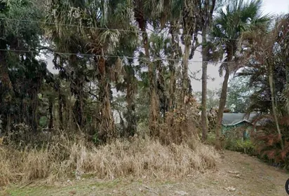 COCOA FL Property