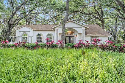BRANDON FL Property