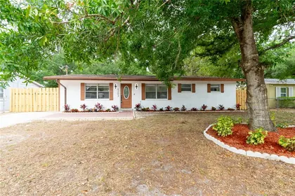 TAMPA FL Home