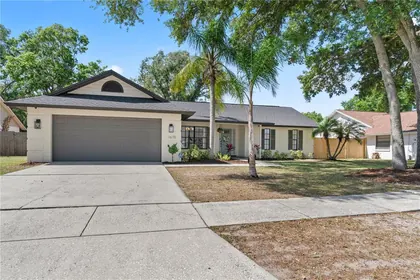 BRANDON FL Home