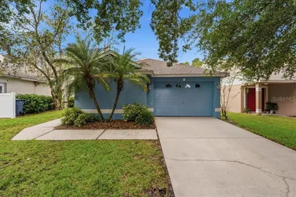 LITHIA FL Home