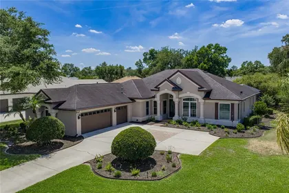LITHIA FL Home