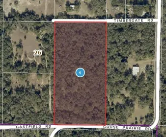 LEESBURG FL Property