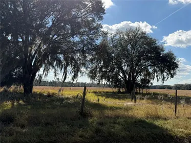GROVELAND FL Property