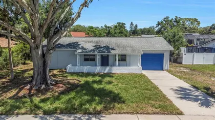 TARPON SPRINGS FL Home