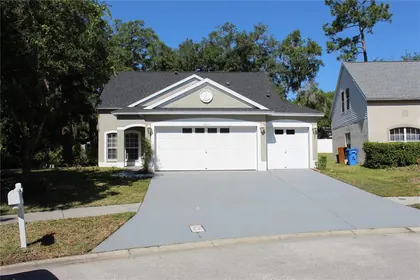 LUTZ FL Home